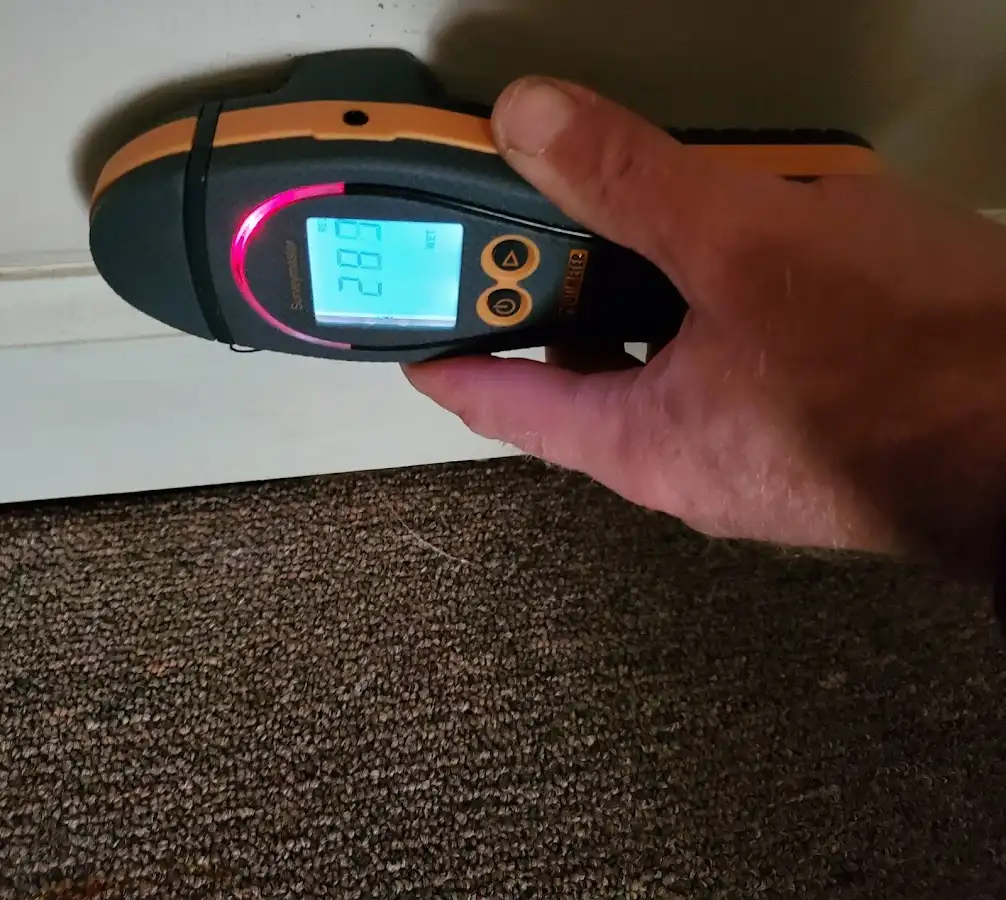 Moisture detection at baseboard during Sewage Cleanup & Sanitation in Cortlandville